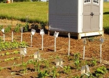 communityGarden