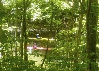 Kayaks on River 2